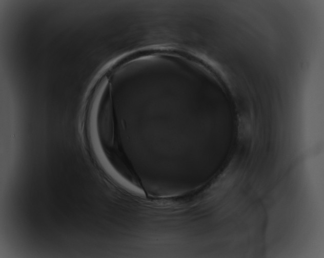 X0000099991319200806061536