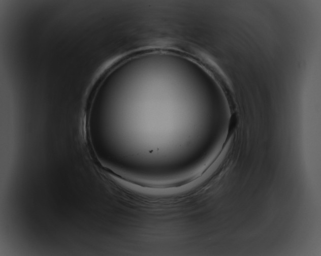 X0000099991320200806061536