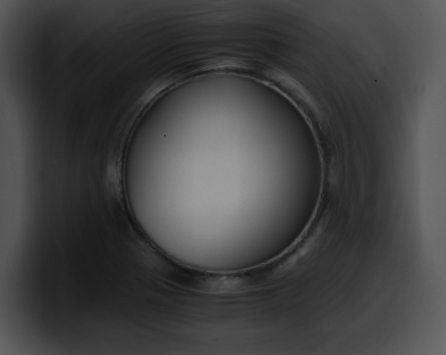 X0000099991321200806061536