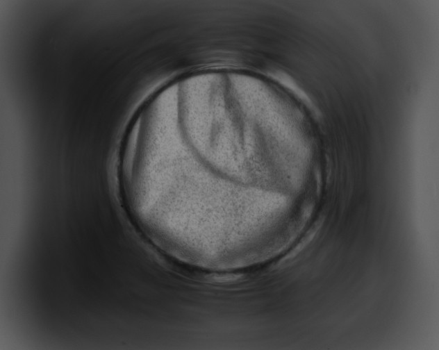 X0000099991325200806061536
