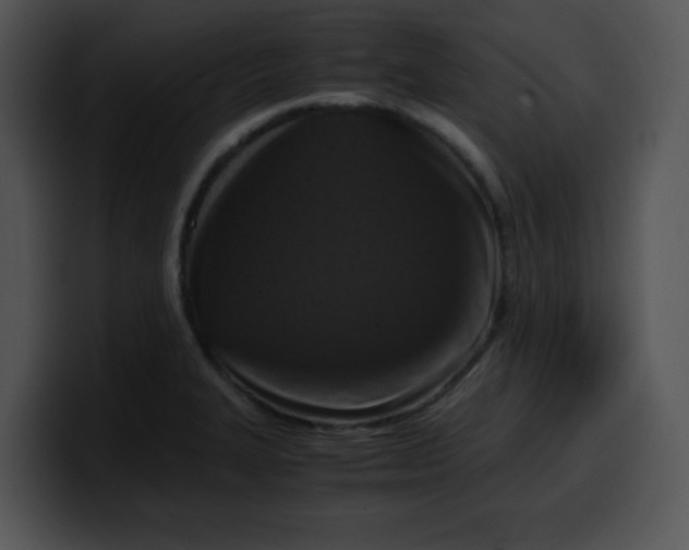 X0000099991327200806061536