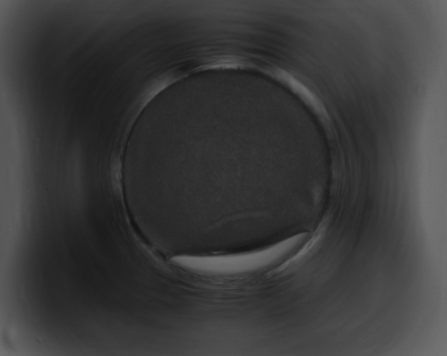 X0000099991329200806061536