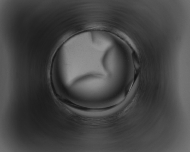 X0000099991330200806061536