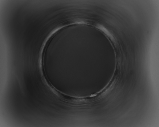X0000099991331200806061536