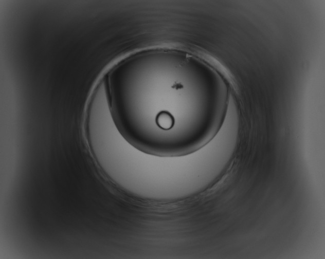 X0000099991332200806061536