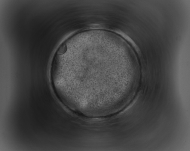 X0000099991333200806061536