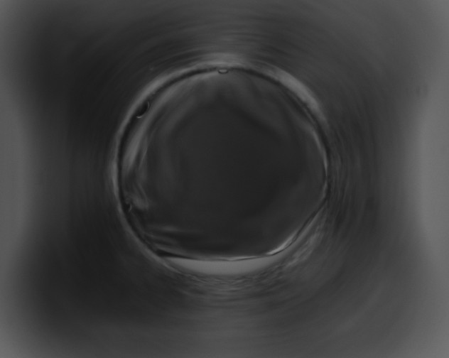 X0000099991334200806061536