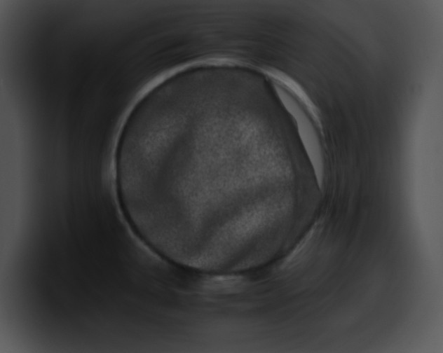 X0000099991335200806061536