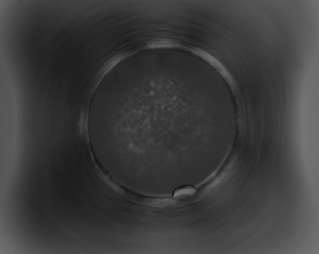 X0000099991337200806061536