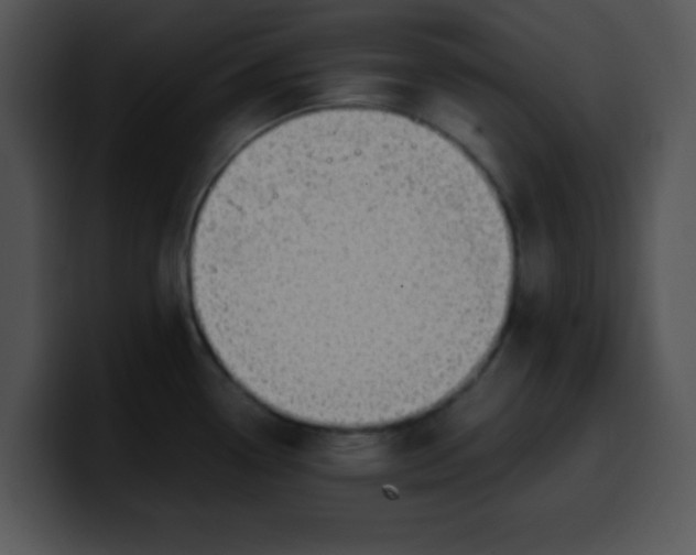 X0000099991338200806061536