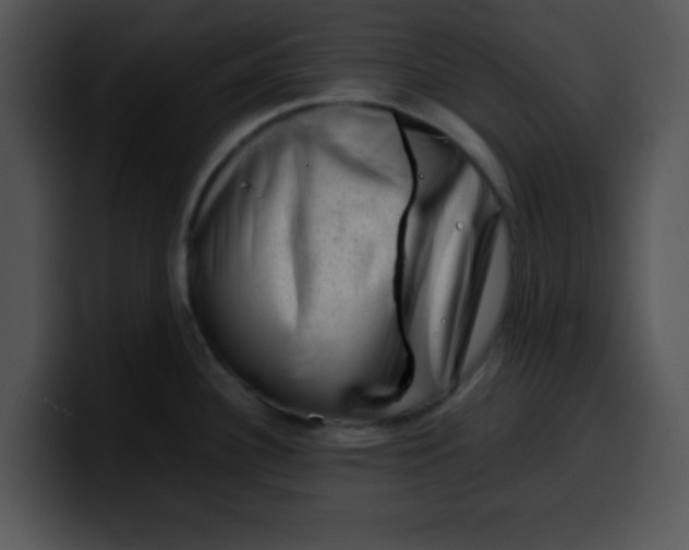 X0000099991340200806061536