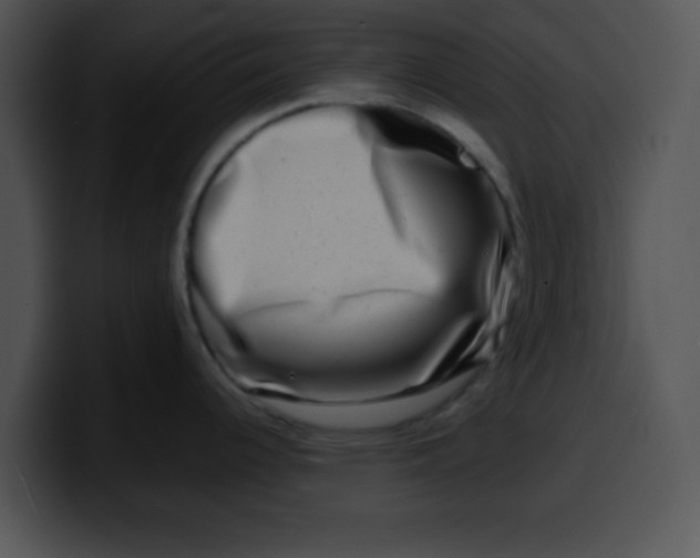 X0000099991344200806061536
