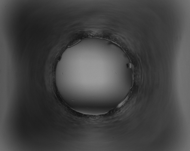 X0000099991345200806061536