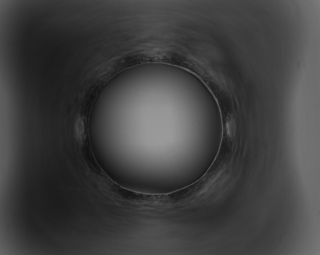 X0000099991347200806061536