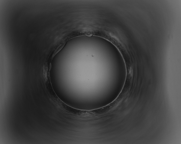 X0000099991348200806061536