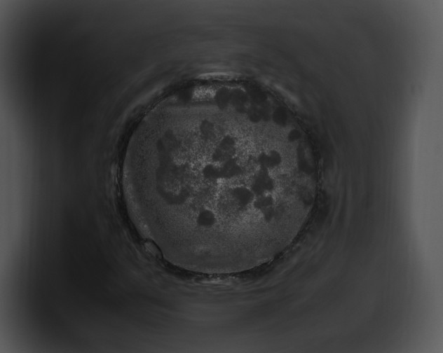 X0000099991351200806061536