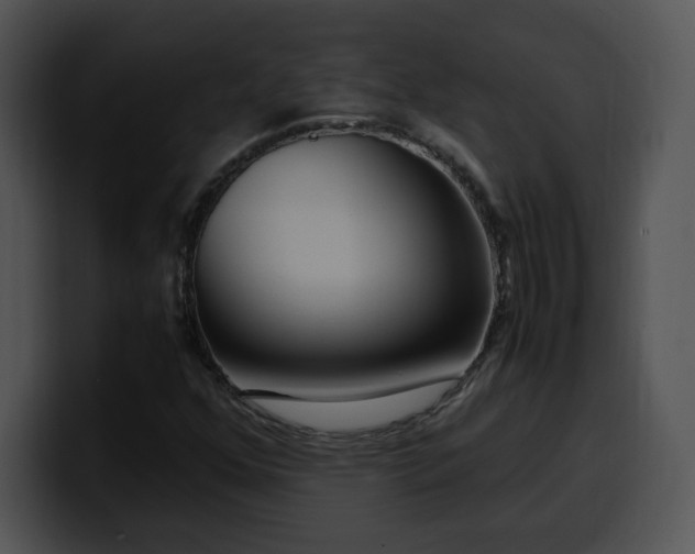 X0000099991352200806061536