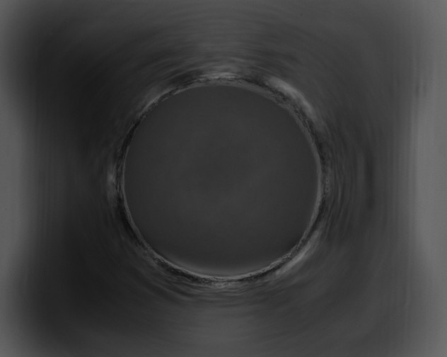 X0000099991353200806061536