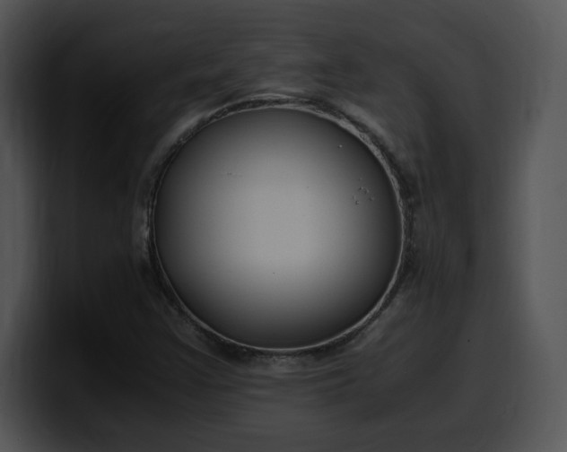 X0000099991355200806061536
