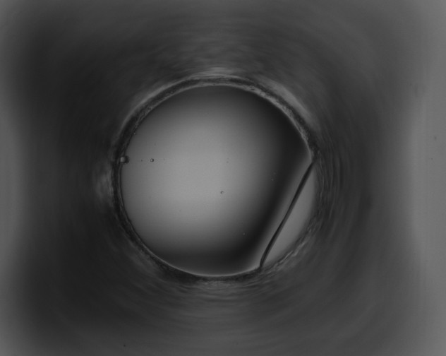 X0000099991356200806061536