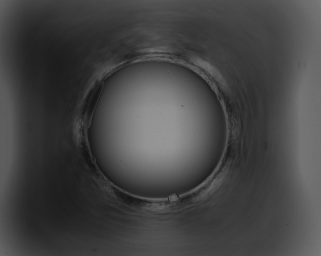 X0000099991357200806061536