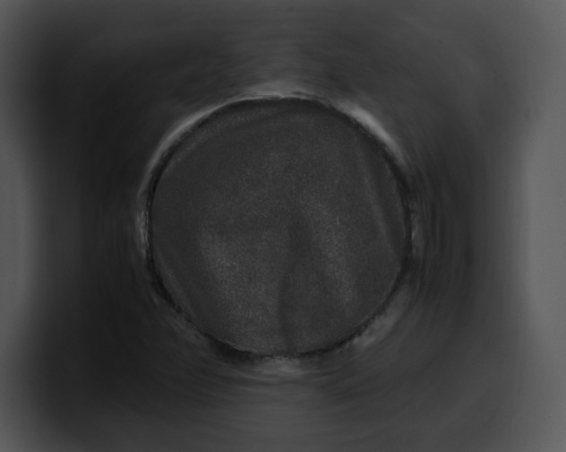 X0000099991358200806061535