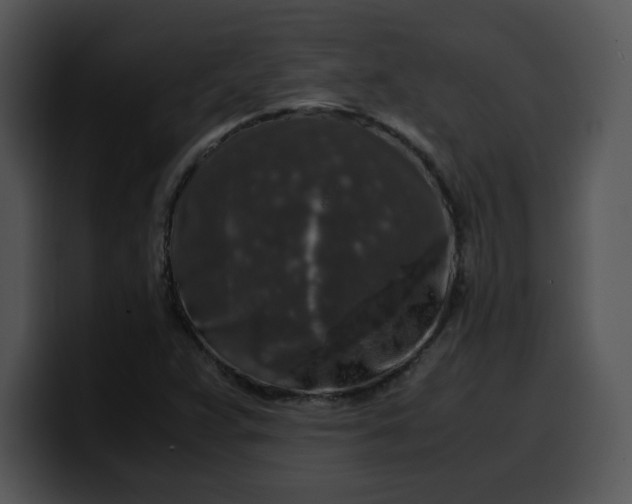 X0000099991359200806061535