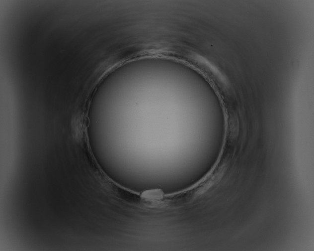 X0000099991361200806061535