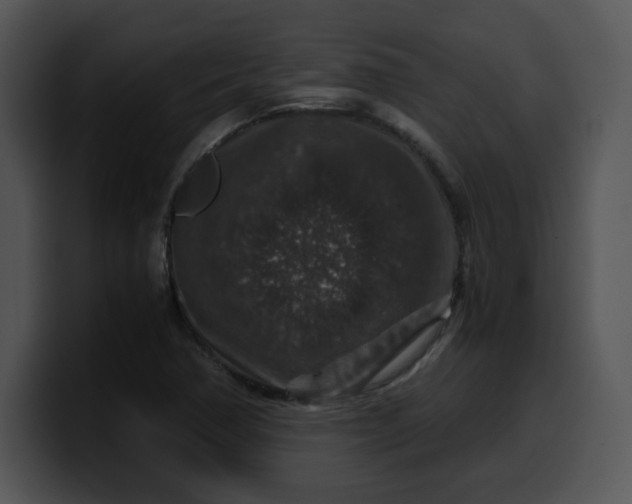 X0000099991362200806061535