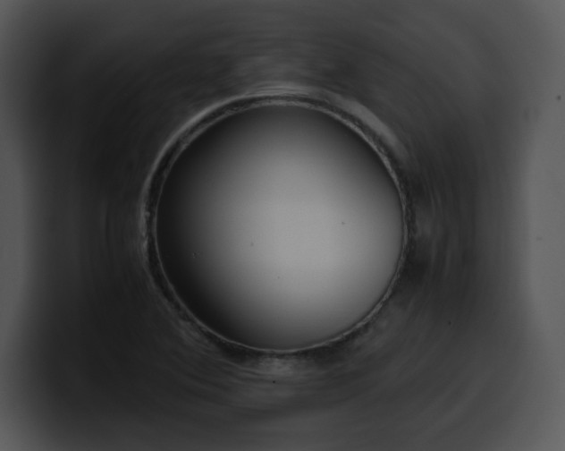 X0000099991364200806061535