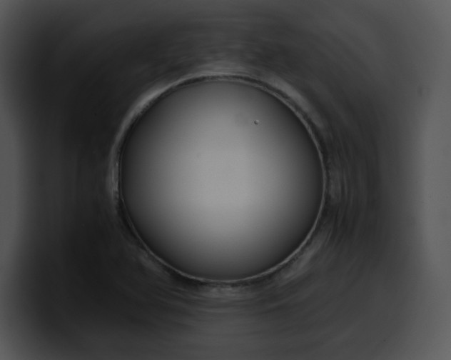 X0000099991366200806061535