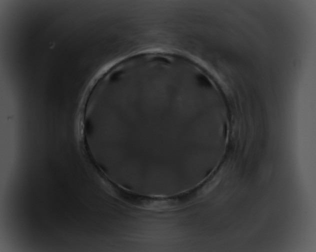 X0000099991367200806061535