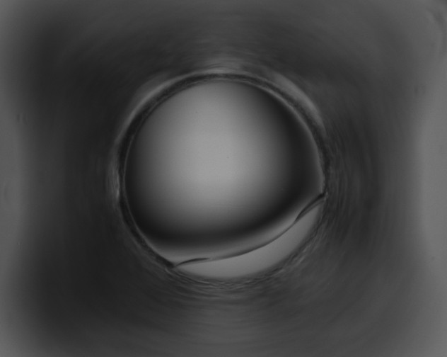 X0000099991368200806061535