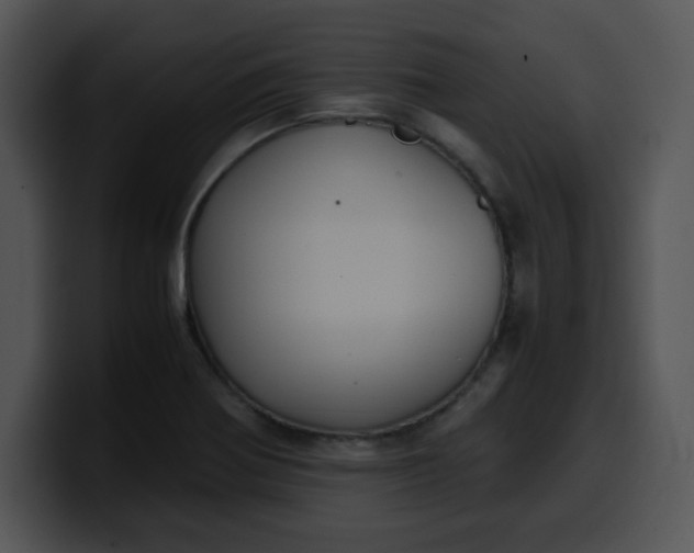 X0000099991370200806061535