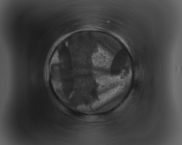 X0000099991371200806061535