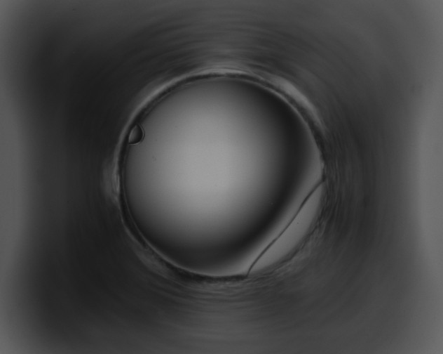 X0000099991372200806061535