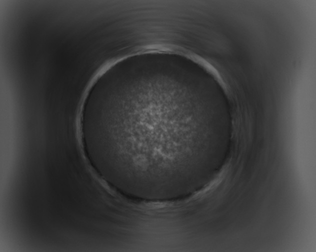 X0000099991373200806061535