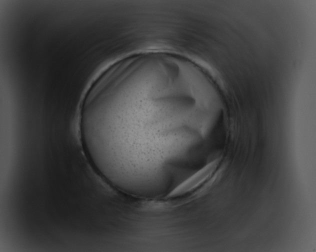 X0000099991374200806061535