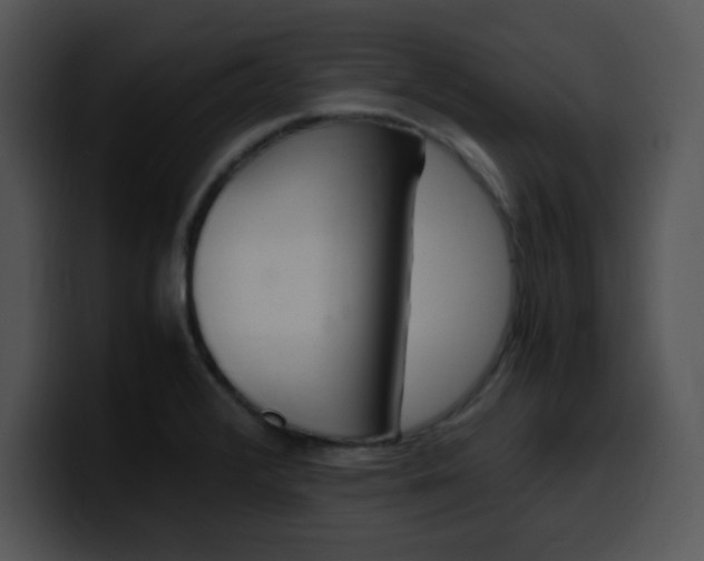 X0000099991376200806061535