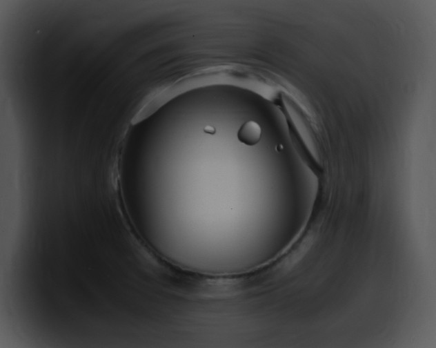 X0000099991377200806061535