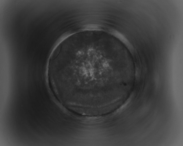 X0000099991378200806061535