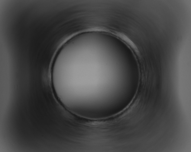 X0000099991380200806061535