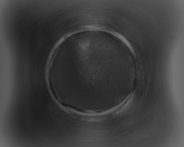 X0000099991381200806061535
