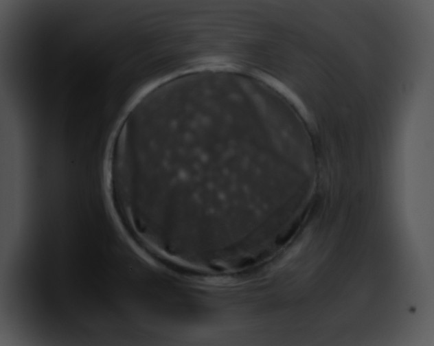X0000099991383200806061535