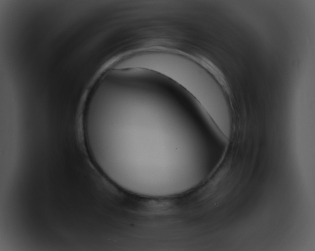X0000099991384200806061535