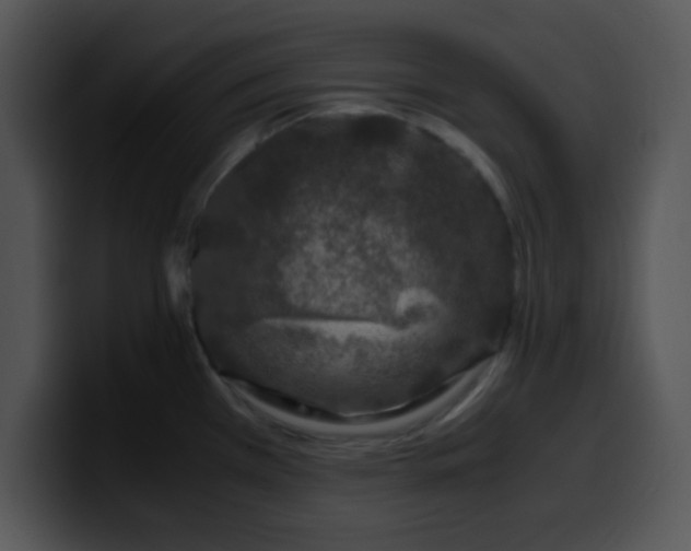 X0000099991385200806061535