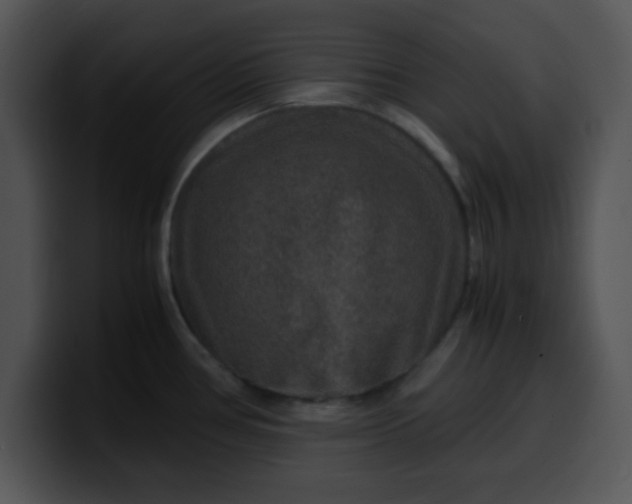 X0000099991386200806061535