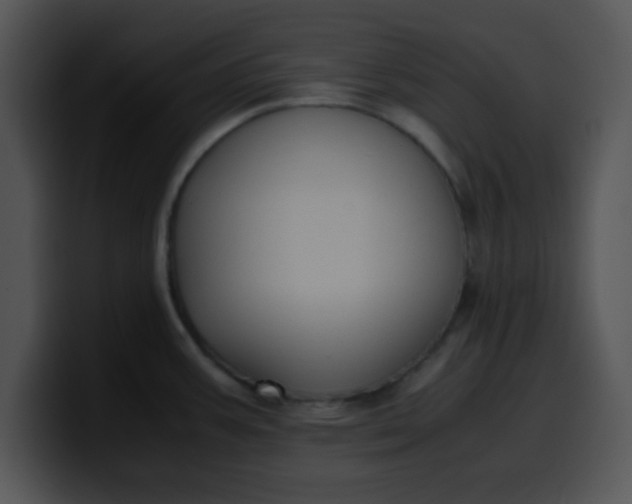 X0000099991387200806061535