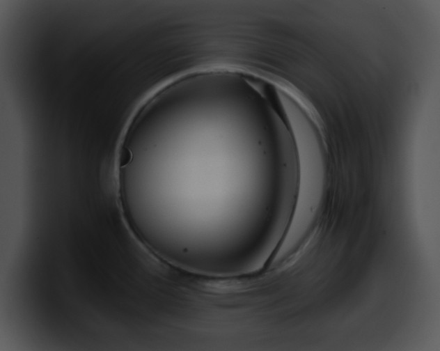 X0000099991388200806061535