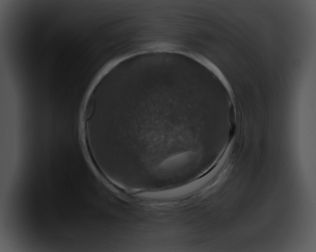 X0000099991389200806061535